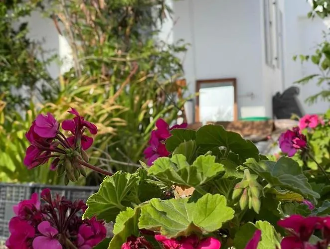 Apartamento Alesta *